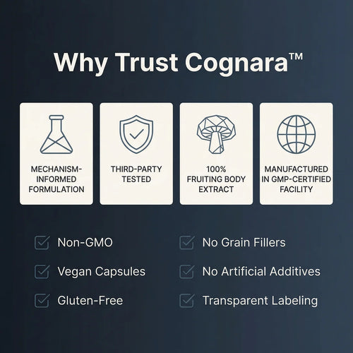 COGNARA™ Neuro Support