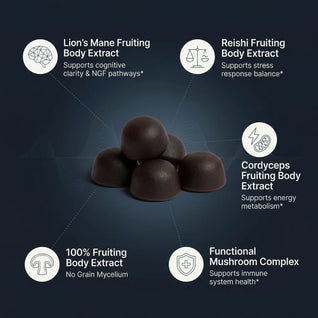 COGNARA™ Neuro Support