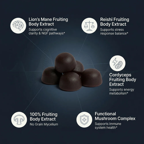 COGNARA™ Neuro Support